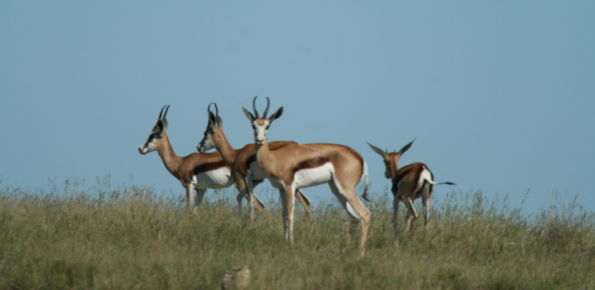 Chimalavera-Natural-and-Regional-Park